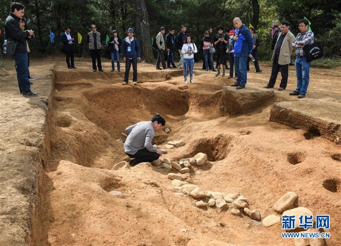 （文化）（3）福建史前考古：洞穴遺址發(fā)現(xiàn)大量農(nóng)作物遺存顛覆傳統(tǒng)觀點(diǎn)