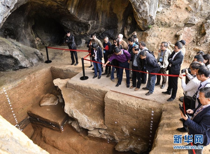 （文化）（5）福建史前考古：洞穴遺址發(fā)現(xiàn)大量農(nóng)作物遺存顛覆傳統(tǒng)觀點(diǎn)