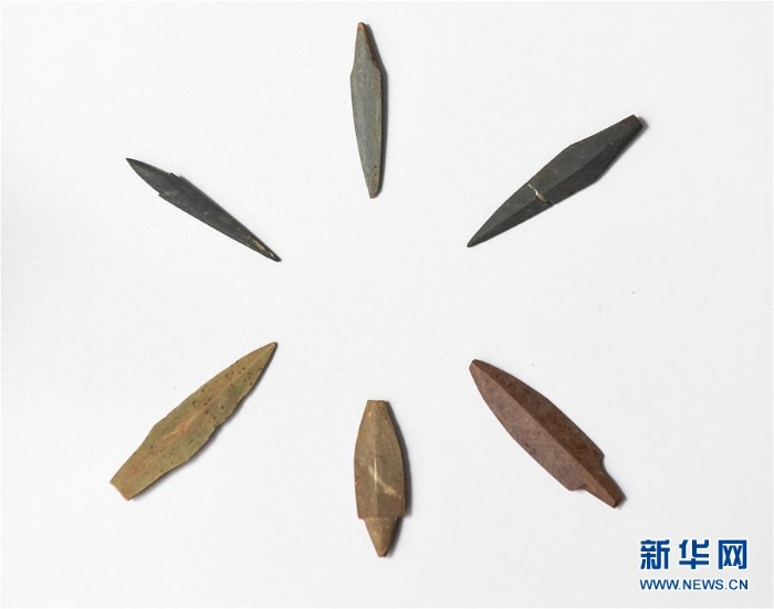 （文化）（7）福建史前考古：洞穴遺址發(fā)現(xiàn)大量農(nóng)作物遺存顛覆傳統(tǒng)觀點(diǎn)