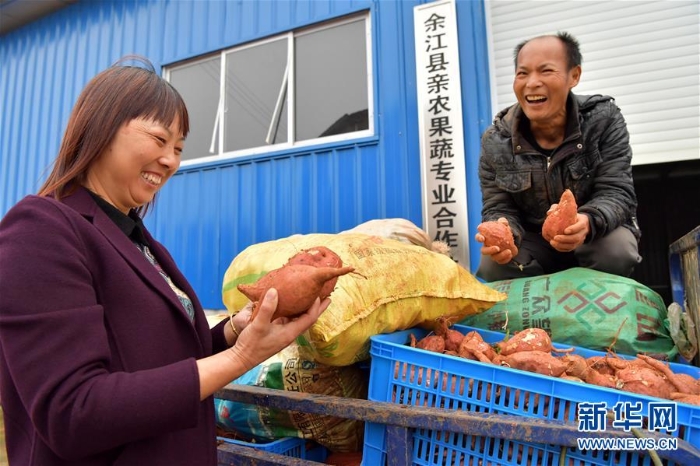 （經(jīng)濟）（1）江西余江：產(chǎn)銷聯(lián)動推特色 助力扶貧拓渠道
