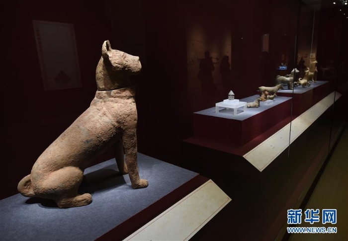 （文化）（2）南京博物院舉辦“幸運狗”院藏犬文物展