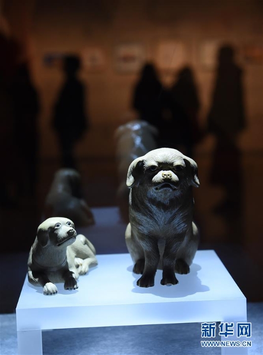 （文化）（5）南京博物院舉辦“幸運狗”院藏犬文物展