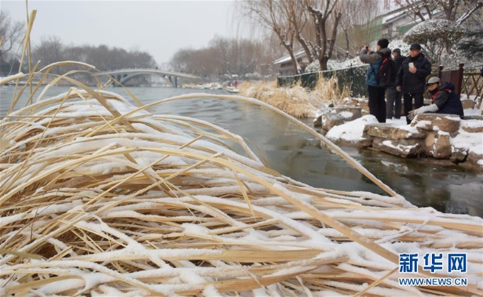 （環(huán)境）（7）雪后大明湖美如畫