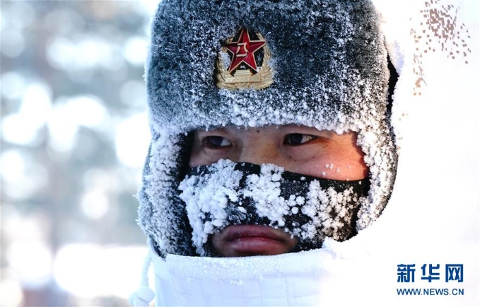 （新春走基層·圖文互動(dòng)）（6）北極哨兵：挺立在風(fēng)雪中的“北極楊”