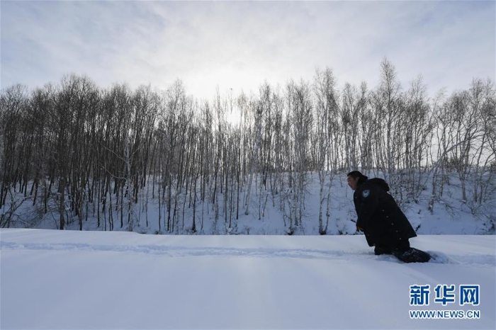 （新春走基層）（5）林海雪原中一個(gè)人的除夕