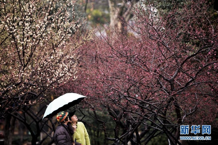 #（社會(huì)）（1）雨水潤花開