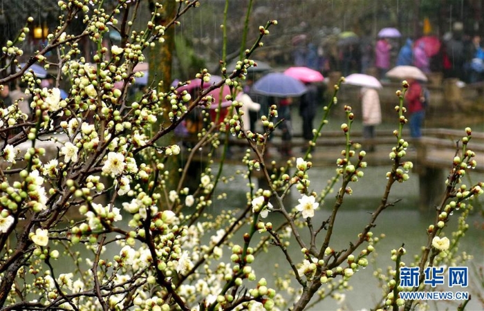 #（社會(huì)）（2）雨水潤花開