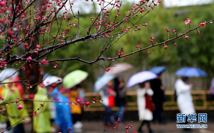 #（社會(huì)）（3）雨水潤花開