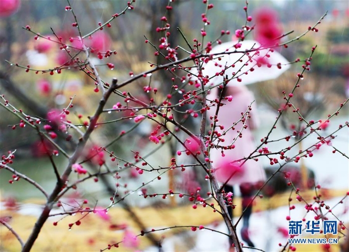 #（社會(huì)）（5）雨水潤花開