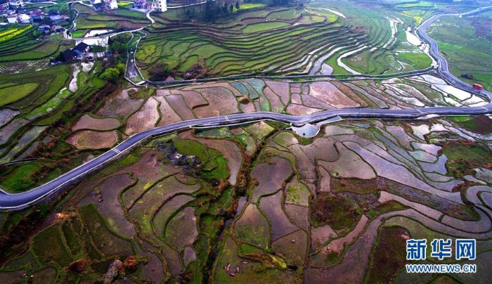 #（春季美麗生態(tài)）（1）春回大地景如畫