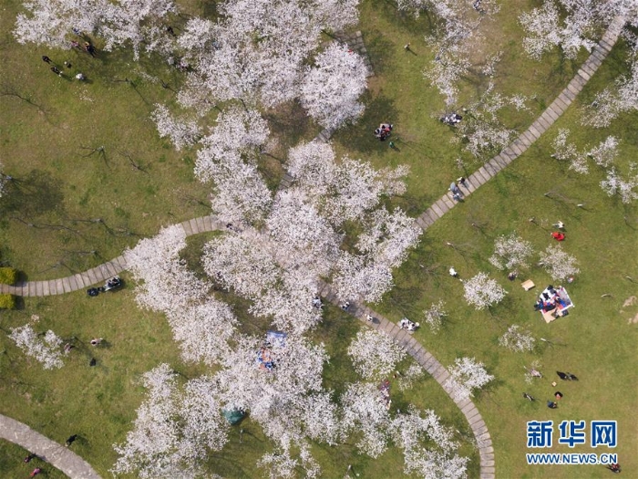 （春季美麗生態(tài)）（1）燦若云霞
