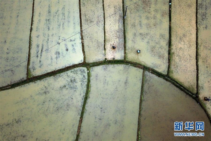 （經(jīng)濟(jì)）（3）瑤鄉(xiāng)春耕忙