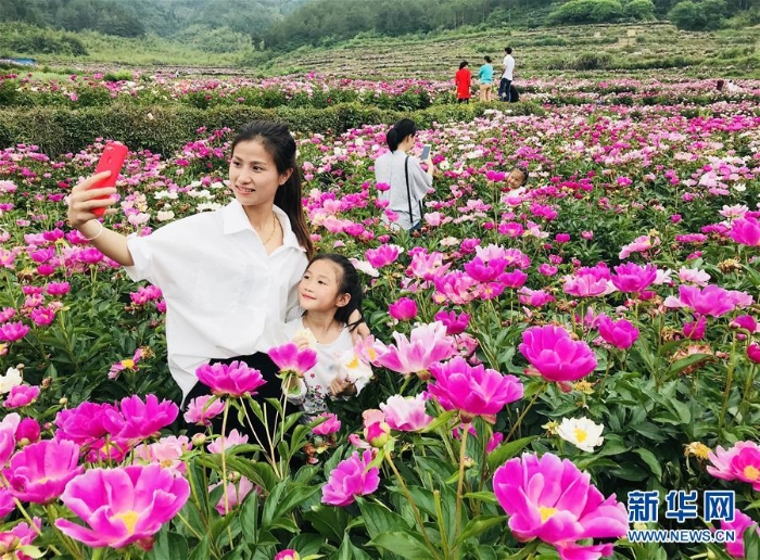 #（社會(huì)）（2）多彩假期