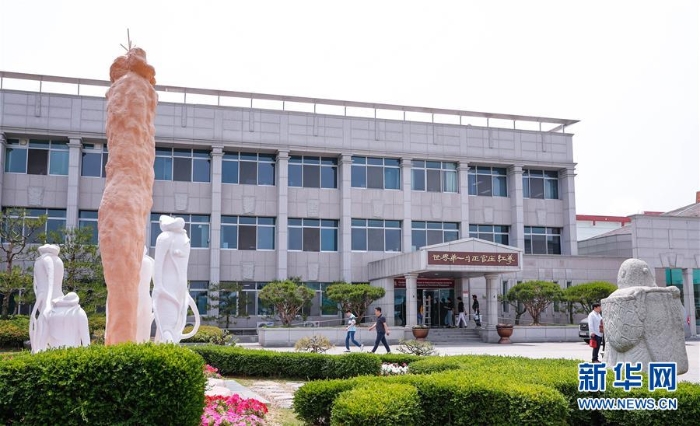 （國際）（5）探訪韓國高麗參工廠