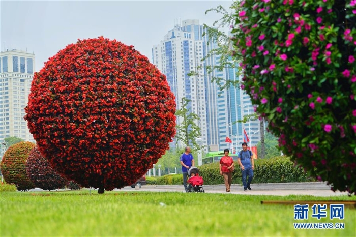（上合青島峰會(huì)）（4）青島歡迎你，上合