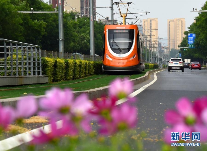 （上合青島峰會(huì)）（10）青島歡迎你，上合