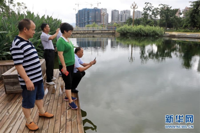 （環(huán)境）（1）河長履職護碧水