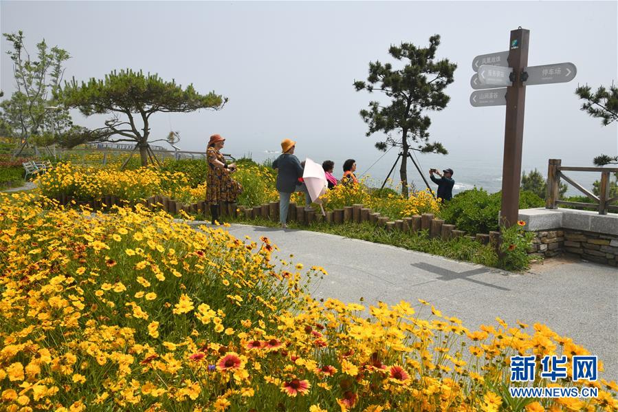 6月3日，游客在青島西海岸新區(qū)東環(huán)島路沿線游玩、拍照。 新華社記者 李紫恒 攝