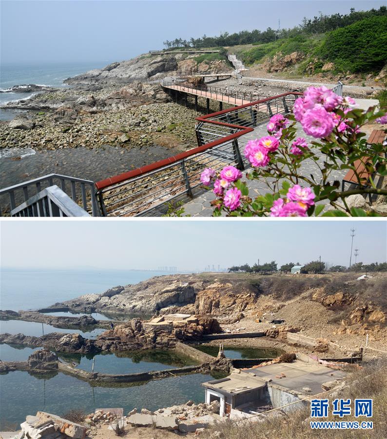 拼版照片：上圖為6月3日在青島西海岸新區(qū)東環(huán)島路“竹島遠眺”景點拍攝的濱海棧道（新華社記者李紫恒攝）；下圖為改建前此地是一處違章海參養(yǎng)殖點，海水養(yǎng)殖污染嚴重（資料照片）。 新華社發(fā)