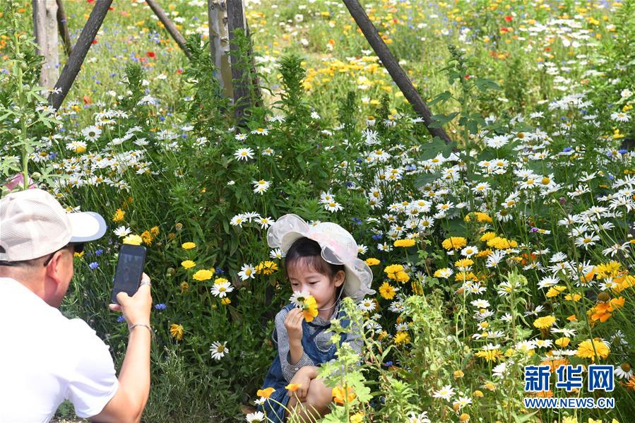 6月3日，游客在青島西海岸新區(qū)東環(huán)島路鳳凰山公園內游玩、拍照。 新華社記者 李紫恒 攝