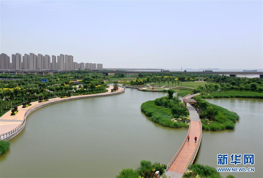 6月8日，游人在南堤濱海步道公園散步。新華社記者 李然 攝