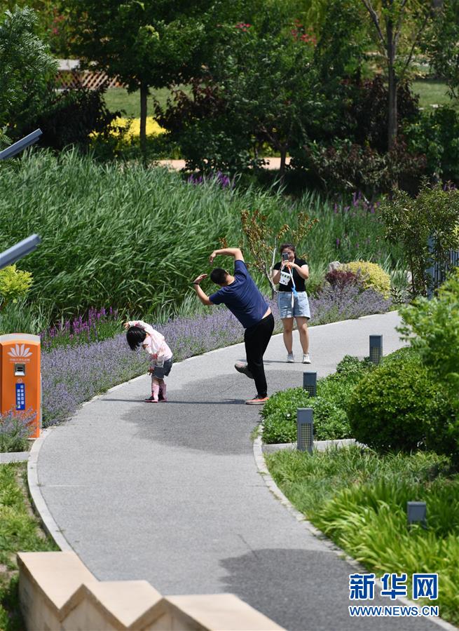 6月8日，游人在南堤濱海步道公園散步。新華社記者 李然 攝