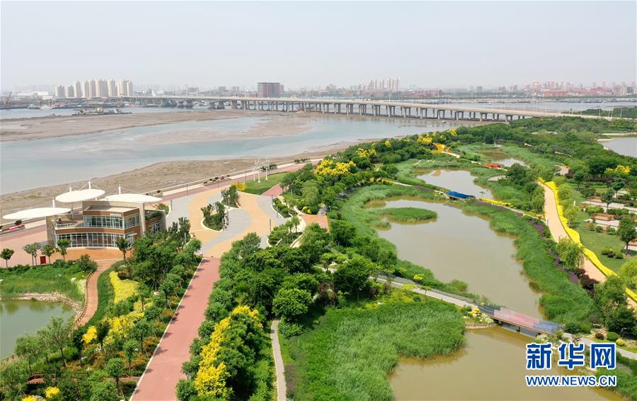 6月8日，游人在南堤濱海步道公園散步。新華社記者 李然 攝