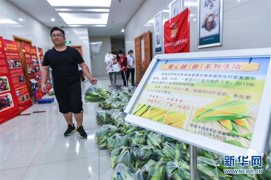 6月8日，志愿者在一家共建單位內(nèi)義賣剛剛收獲的玉米。 當(dāng)日，浙江省慈溪市錢海軍志愿服務(wù)中心的志愿者們來(lái)到慈溪市崇壽鎮(zhèn)海運(yùn)村，幫助與該中心結(jié)對(duì)的低保戶老人，一起收獲地里成熟的玉米，并通過(guò)線上直播、線下設(shè)攤的形式進(jìn)行義賣。近期，浙江省慈溪市錢海軍志愿服務(wù)中心舉辦多次愛(ài)心助農(nóng)活動(dòng)，組織青年志愿者到農(nóng)村幫助孤寡老人、低保戶、殘疾農(nóng)戶采收蔬菜、水果并進(jìn)行義賣。 新華社記者 徐昱 攝