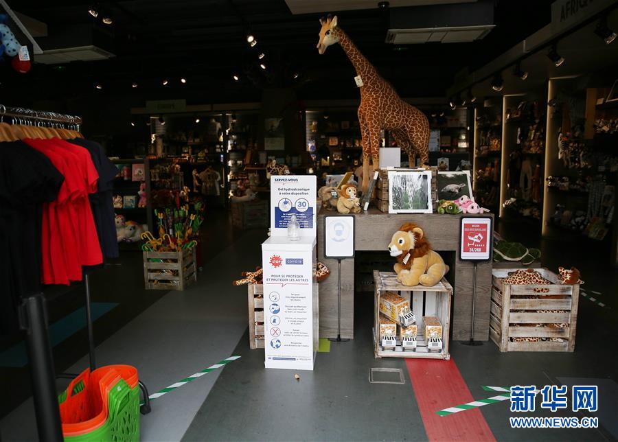 6月9日，法國(guó)巴黎動(dòng)物園的紀(jì)念品商店入口處為游客提供消毒免洗洗手液，并在地上標(biāo)注了參觀方向。 受新冠疫情影響關(guān)閉了近3個(gè)月的巴黎動(dòng)物園于8日重新開放。 新華社記者 高靜 攝