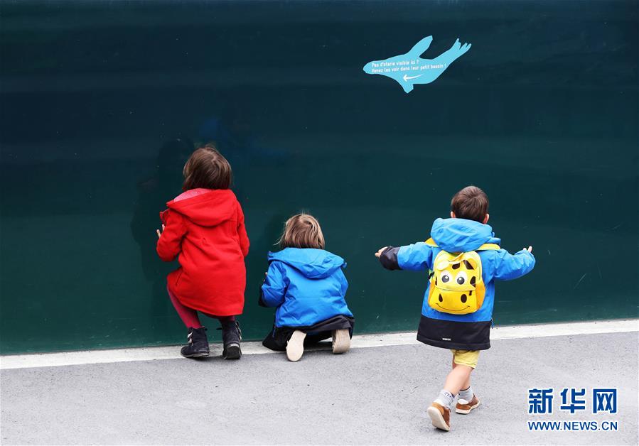 6月9日，孩子們?cè)诜▏?guó)巴黎動(dòng)物園內(nèi)參觀海獅。 受新冠疫情影響關(guān)閉了近3個(gè)月的巴黎動(dòng)物園于8日重新開放。 新華社記者 高靜 攝