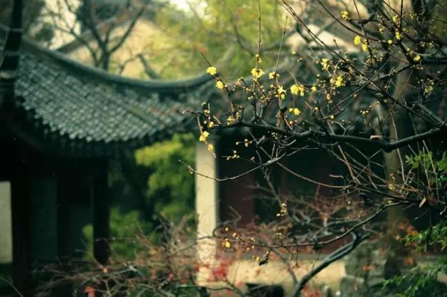 讀書養(yǎng)才氣，勤奮養(yǎng)運(yùn)氣，寬厚養(yǎng)大氣，淡泊養(yǎng)志氣