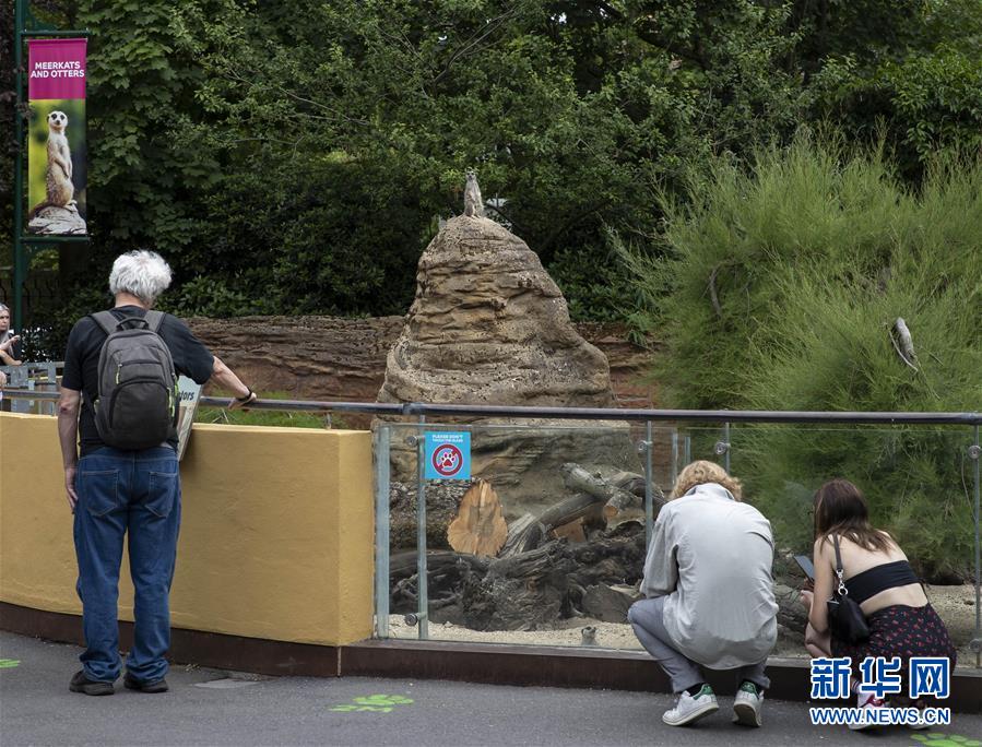 (國(guó)際疫情)(4)倫敦動(dòng)物園重新開(kāi)放