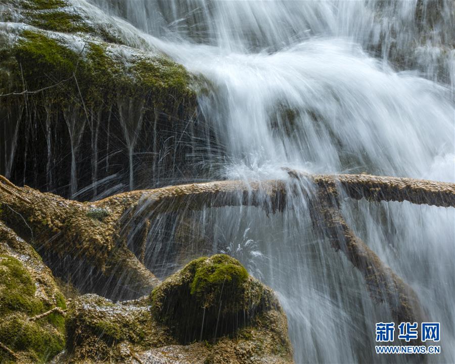 （環(huán)境）（10）大美阿壩 生態(tài)家園