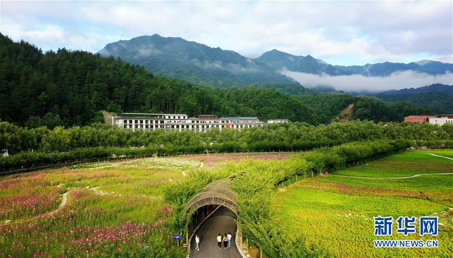 7月1日，市民在位于留壩縣城的金水灣花海游玩。 近日，陜西省漢中市留壩縣金水灣花海的各類(lèi)鮮花次第綻放，絢麗繽紛。 新華社記者 劉瀟 攝