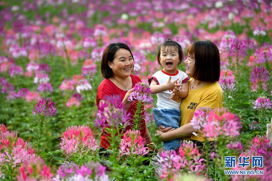 7月1日，市民在位于留壩縣城的金水灣花海游玩。 近日，陜西省漢中市留壩縣金水灣花海的各類(lèi)鮮花次第綻放，絢麗繽紛。 新華社記者 劉瀟 攝