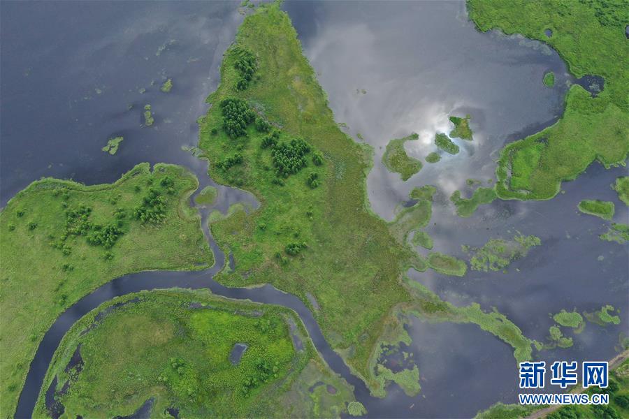 (美麗中國(guó))(2)阿爾山夏日美景