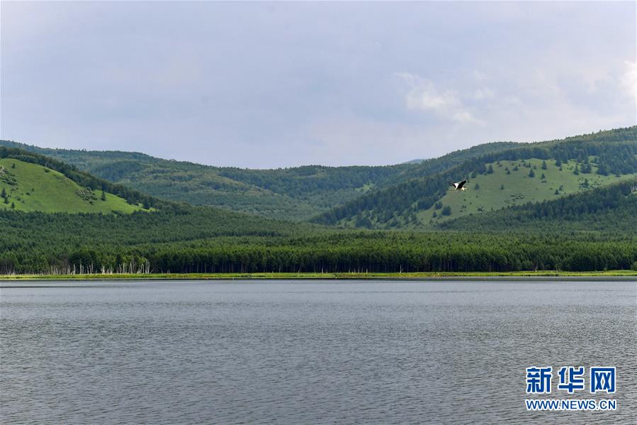 (美麗中國(guó))(5)阿爾山夏日美景