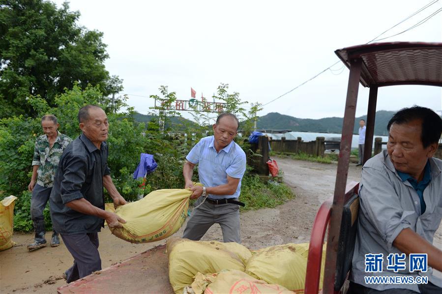 7月13日，張貴來在會宮村巡查堤壩（無人機照片）。 新華社記者 黃博涵 攝