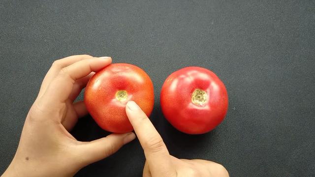 買(mǎi)西紅柿要挑選“母”的，頂部看一眼就能辨出，沙甜又多汁