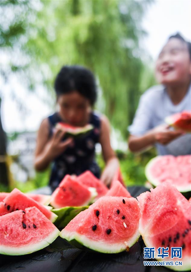 7月22日，廟兜村的孩子們?cè)诒荣惓晕鞴稀?當(dāng)日是大暑節(jié)氣，浙江省湖州市吳興區(qū)織里鎮(zhèn)廟兜村舉行了趣味“賽西瓜”比賽，迎接這個(gè)“火熱”的節(jié)氣。廟兜村種植有500多畝西瓜，目前正值西瓜豐收的時(shí)節(jié)，村民們用“賽西瓜”的形式，感受豐收的喜悅。 新華社記者 徐昱 攝