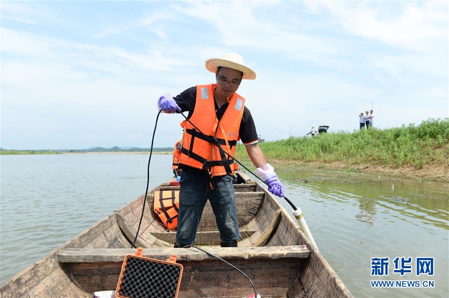 7月28日，在臨湘市聶市鎮(zhèn)毛灣垸，工作人員通過檢測(cè)儀查看是否出現(xiàn)管涌情況。新華社發(fā)（陳振海攝）