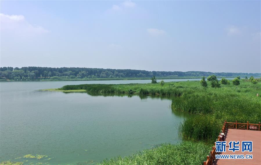 （環(huán)境）（2）走進潮白河國家濕地公園