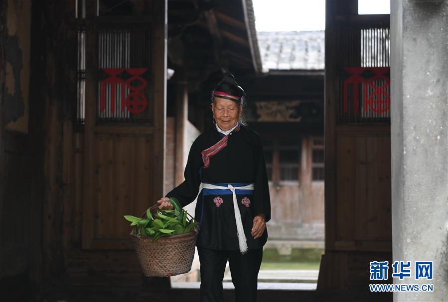 (走向我們的小康生活)(3)89歲畬族老人鐘蓮嬌為家鄉(xiāng)“代言”