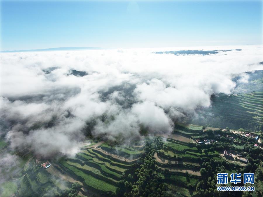 #(環(huán)境)(2)甘肅東鄉(xiāng):梯田云霧繚繞美如畫