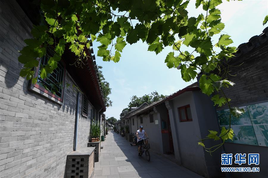 市民騎行在北京市東城區(qū)草廠四條胡同（6月12日攝）。 新華社記者 鞠煥宗 攝走向我們的小康生活丨小橋、流水、書香、人家——老北京胡同里的恬靜棲居