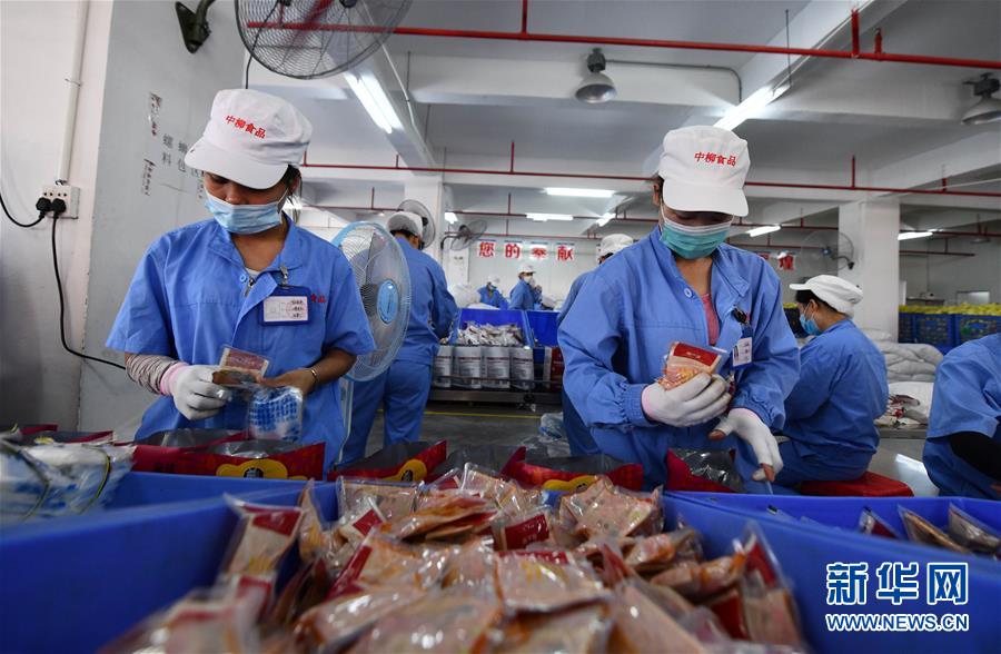 8月30日，在柳州市螺螄粉產(chǎn)業(yè)園廣西中柳食品科技有限公司生產(chǎn)車間，工人在生產(chǎn)線上包裝螺螄粉。 今年以來，廣西柳州市螺螄粉出口量大幅增長。據(jù)統(tǒng)計(jì)，1至7月，柳州市出口螺螄粉52批約1535萬元人民幣。 新華社記者 黃孝邦 攝