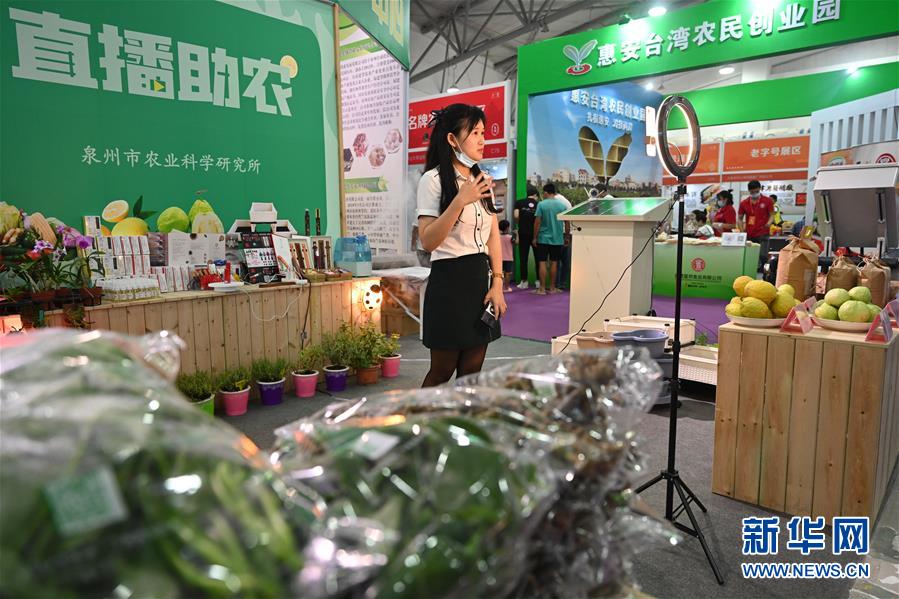 9月7日，福建省泉州市農(nóng)業(yè)科學研究所的工作人員在展會進行助農(nóng)直播推銷農(nóng)產(chǎn)品。 當日，第十三屆海峽兩岸（泉州）農(nóng)產(chǎn)品采購訂貨會在福建泉州南安市舉行。展會上隨處可見的助農(nóng)直播成為本屆展會的新亮點。 新華社記者 宋為偉 攝