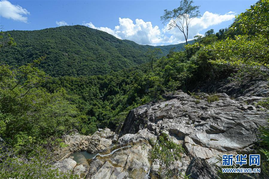 (環(huán)境)(1)探訪海南熱帶雨林國(guó)家公園