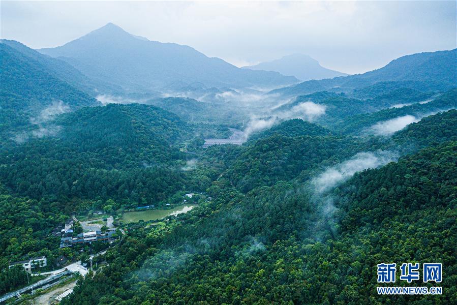 （環(huán)境）（7）探訪海南熱帶雨林國(guó)家公園