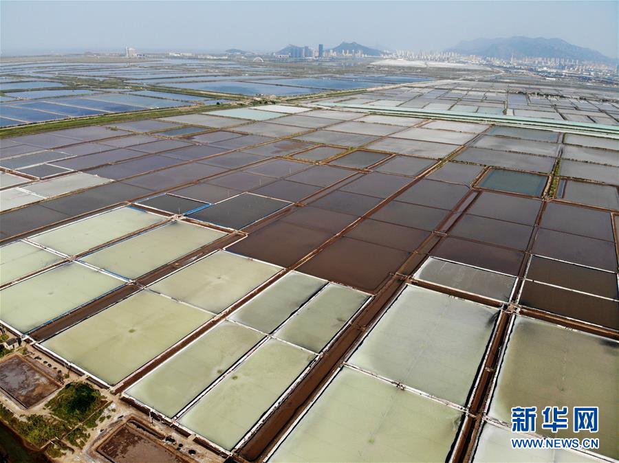 #（社會）（1）江蘇連云港：原鹽豐收“秋扒”忙